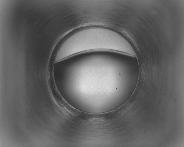 X0000072530536200607141013