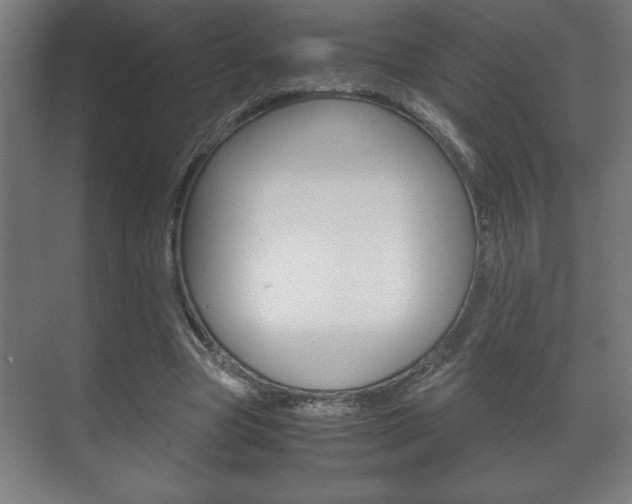 X0000072530537200607141013