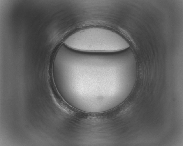 X0000072530538200607141013