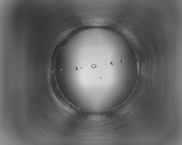 X0000072530540200607141013