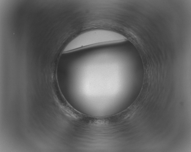 X0000072530546200607141013