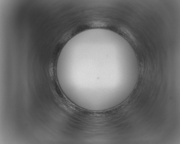 X0000072530549200607141013
