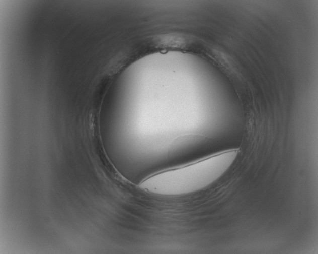 X0000072530551200607141013