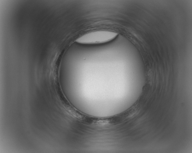 X0000072530554200607141013