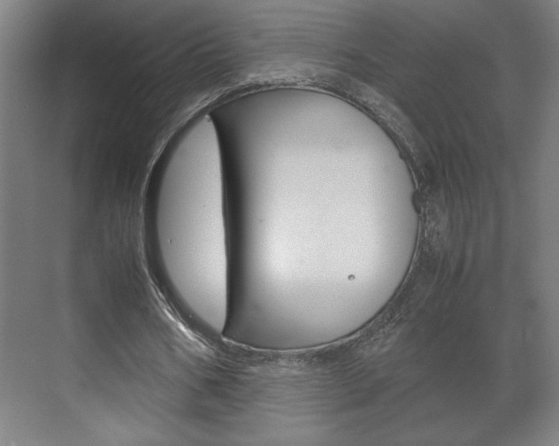 X0000072530578200607141013