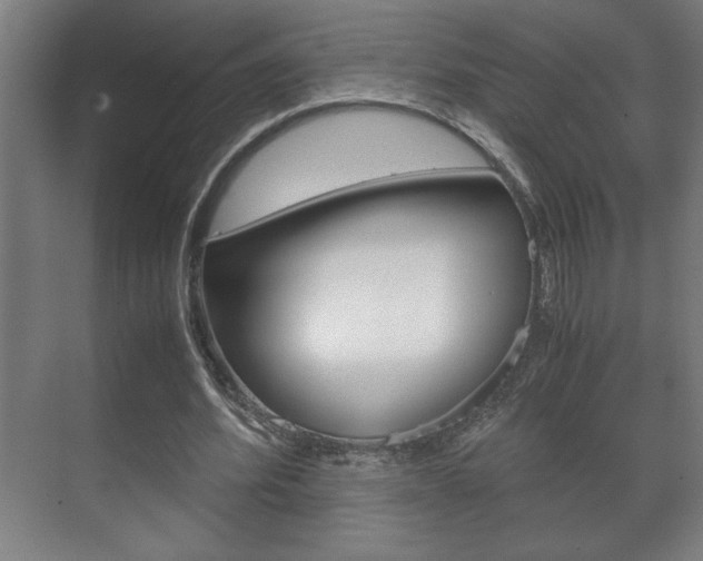X0000072530580200607141012