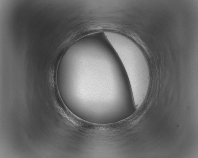 X0000072530585200607141012
