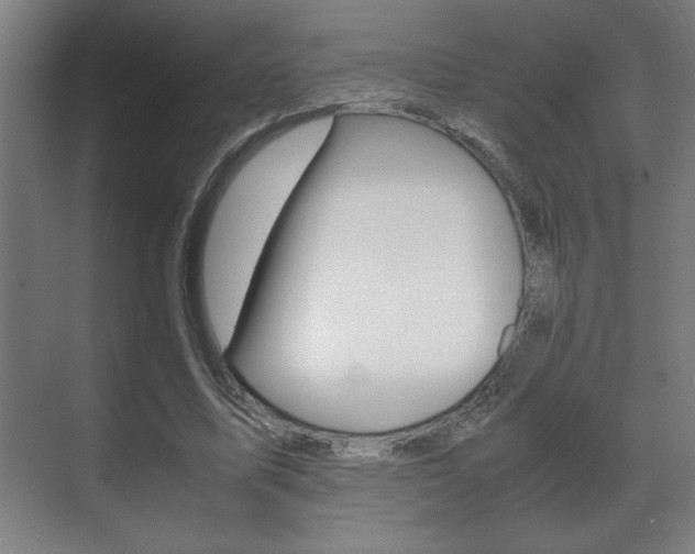 X0000072530587200607141012