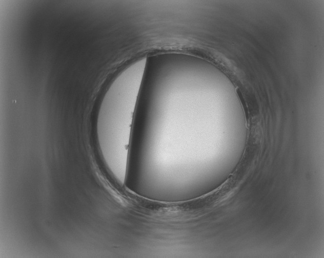 X0000072530589200607141012