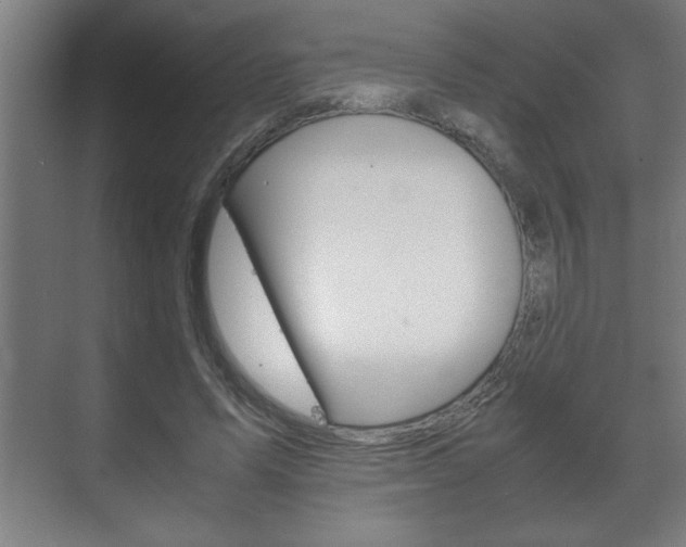 X0000072530591200607141012