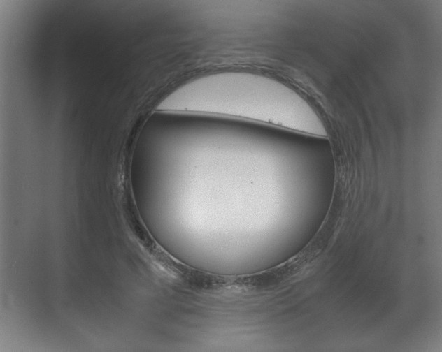 X0000072530593200607141012