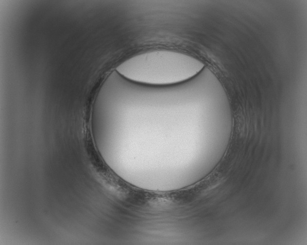 X0000072530594200607141012