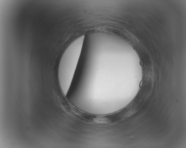 X0000072530603200607141012