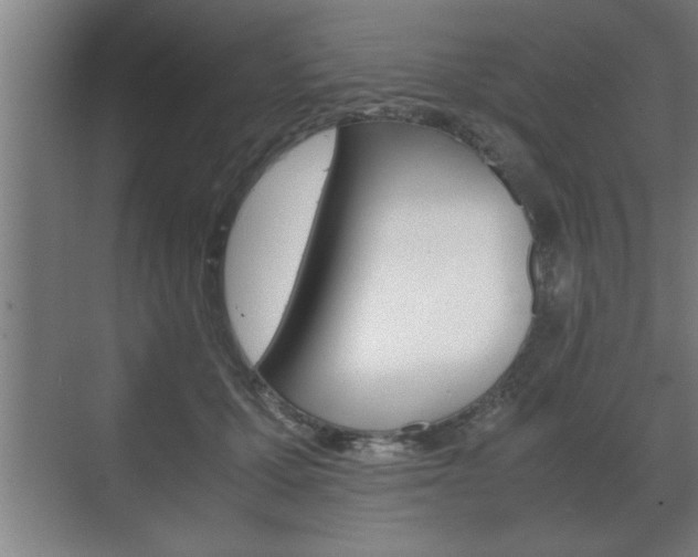 X0000072530607200607141012