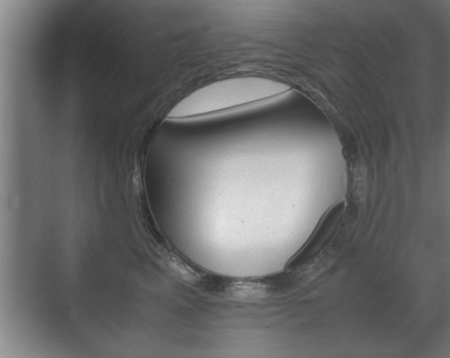 X0000072530617200607141012
