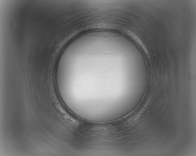 X0000072530625200607141011