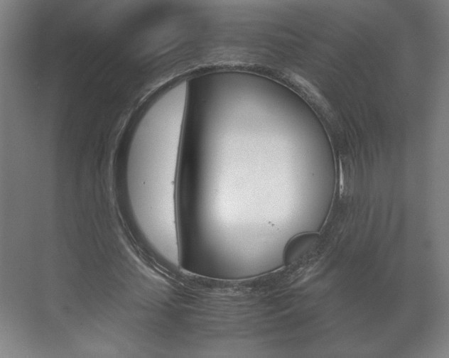 X0000072530627200607141011
