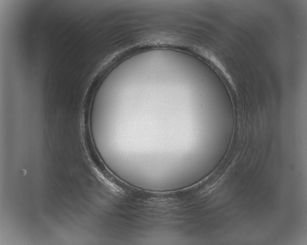 X0000072530629200607141011