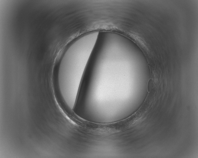 X0000072530630200607141011