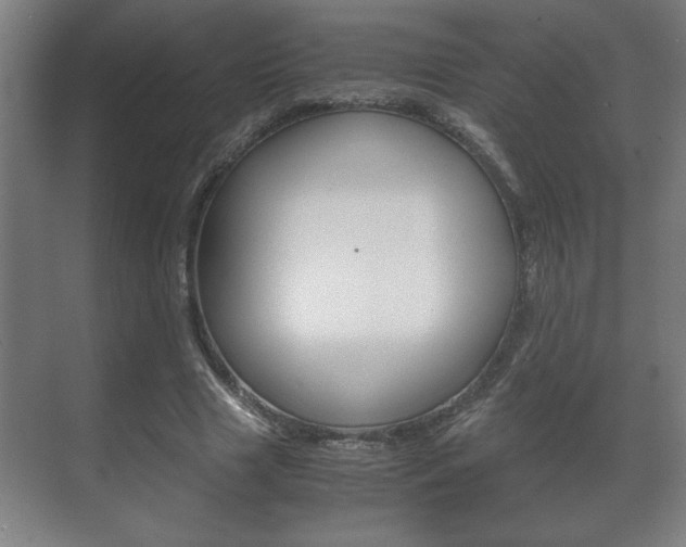 X0000072530633200607141011