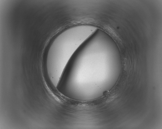 X0000072530634200607141011