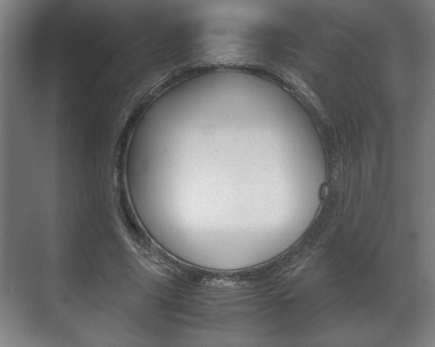 X0000072530635200607141011