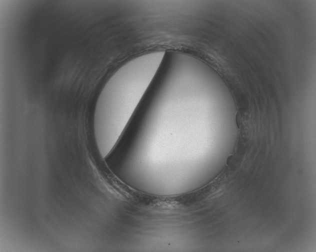 X0000072530642200607141011