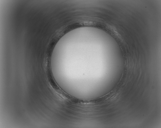 X0000072530645200607141011