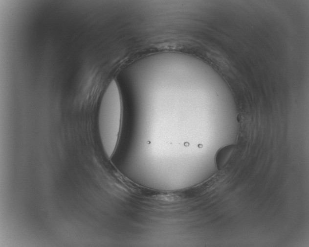 X0000072530652200607141011