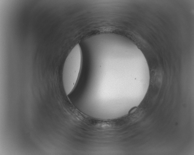 X0000072530655200607141011