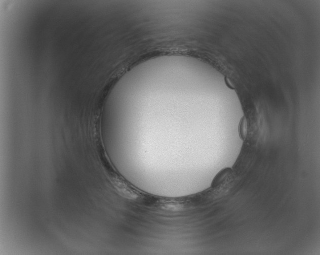 X0000072530658200607141012