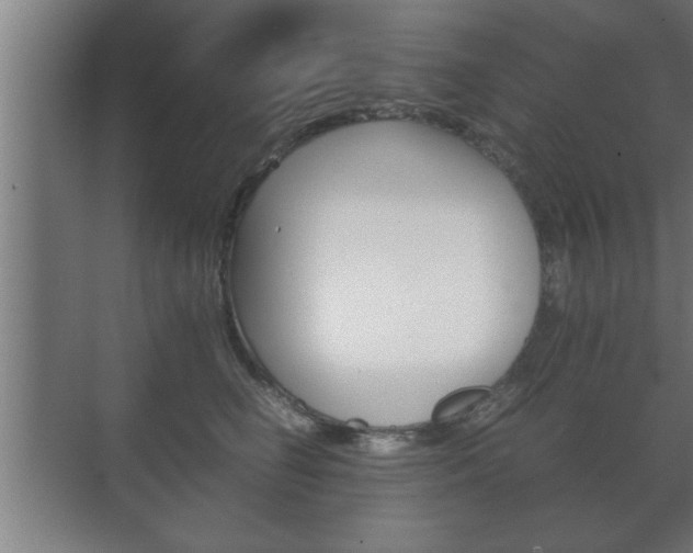 X0000072530662200607141012