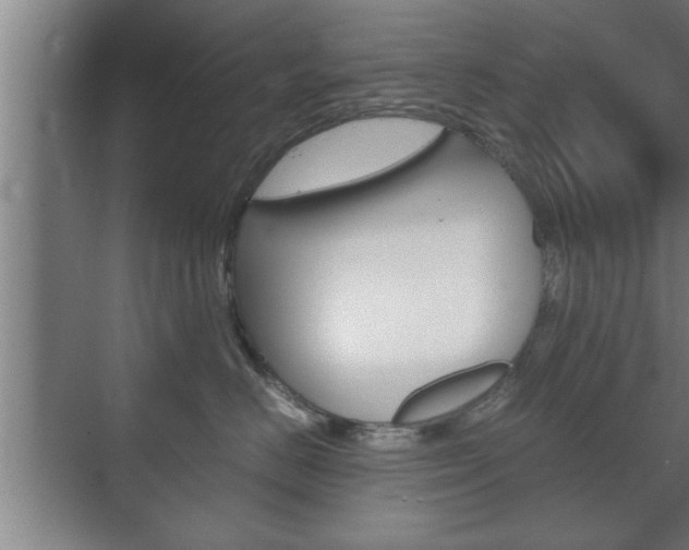 X0000072530670200607141012