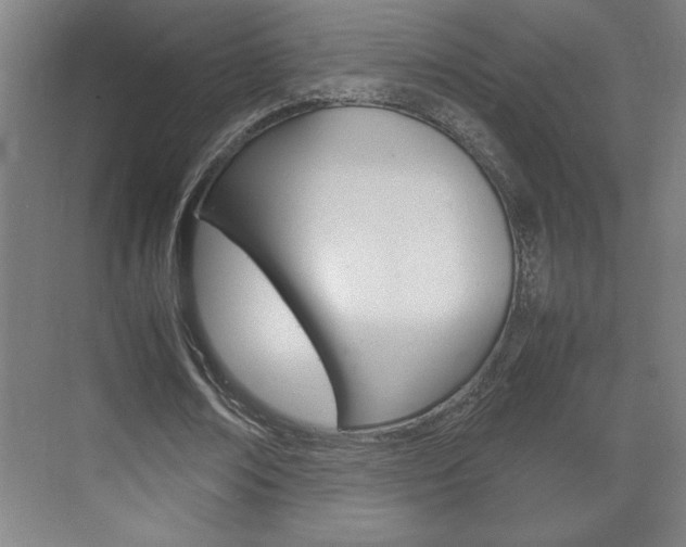 X0000072530674200607141011