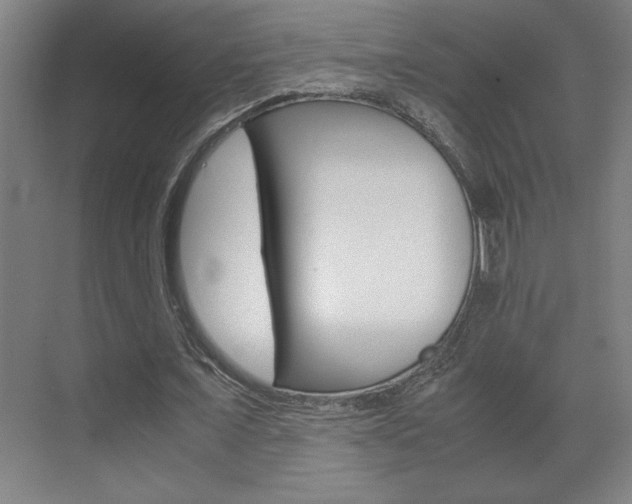 X0000072530675200607141011