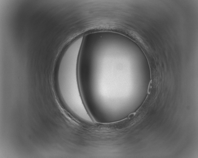 X0000072530677200607141011