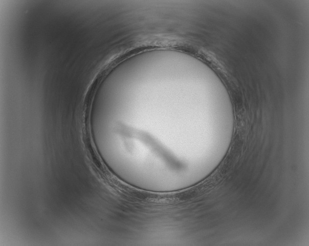 X0000072530679200607141011