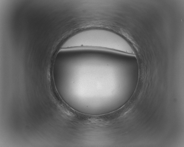 X0000072530681200607141011