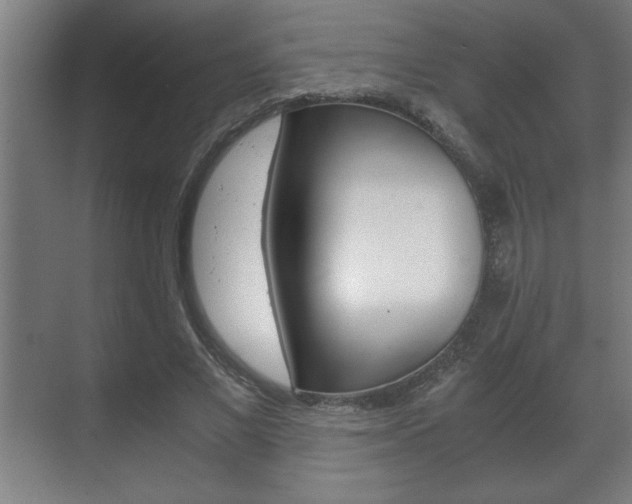 X0000072530685200607141011
