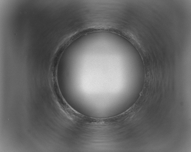 X0000072530688200607141011