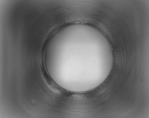 X0000072530690200607141011