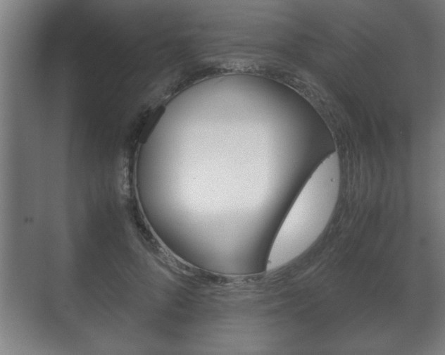 X0000072530696200607141011