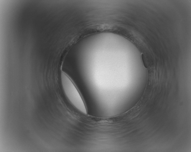 X0000072530700200607141010