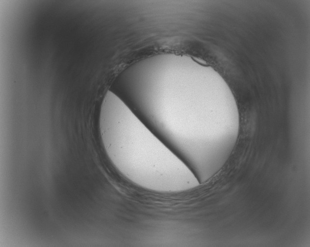 X0000072530703200607141010