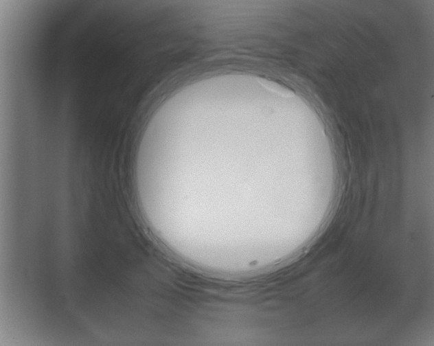 X0000072530705200607141010