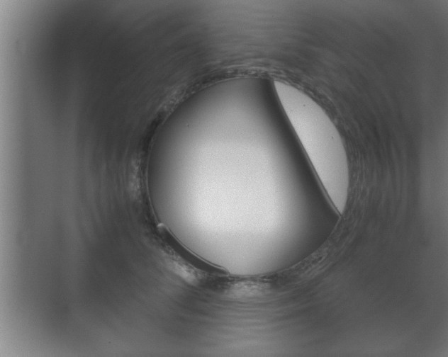X0000072530708200607141010
