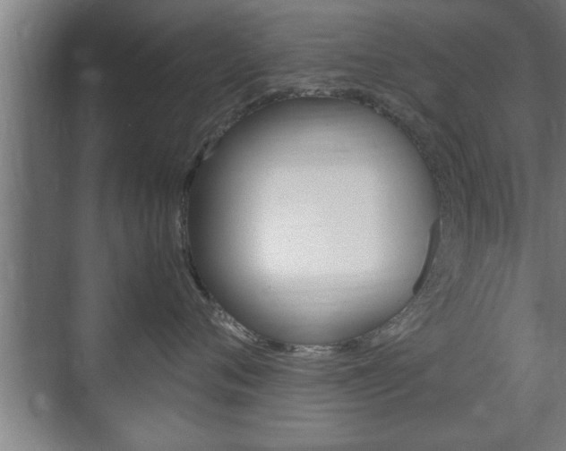 X0000072530720200607141010