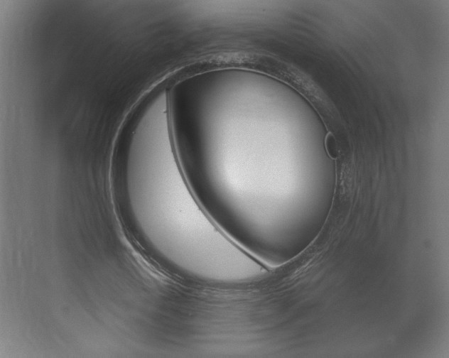 X0000072530722200607141009