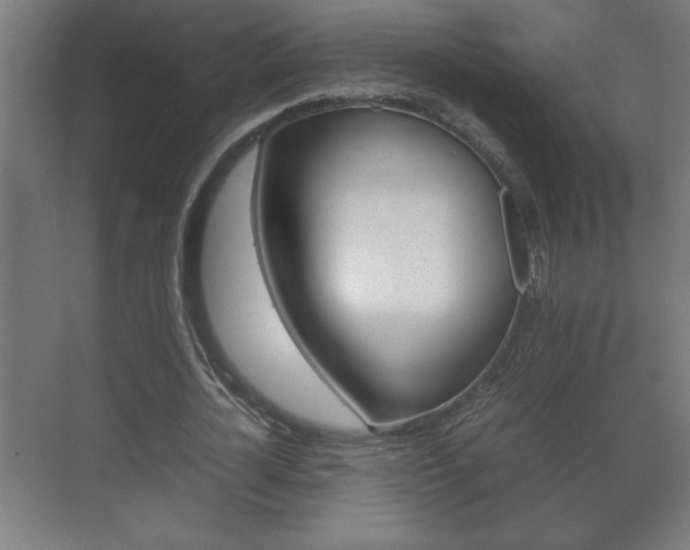 X0000072530724200607141009