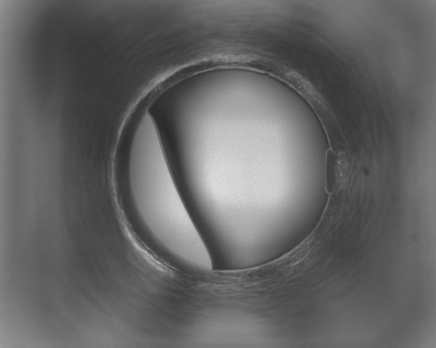 X0000072530726200607141009